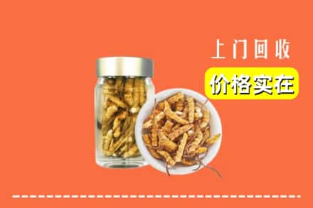 石家庄灵寿县回收散虫草