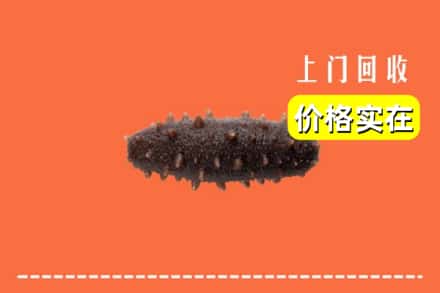 石家庄灵寿县回收海参