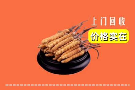 石家庄灵寿县回收冬虫夏草